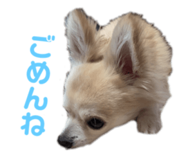 489436638