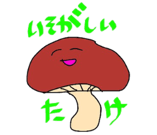 4894523