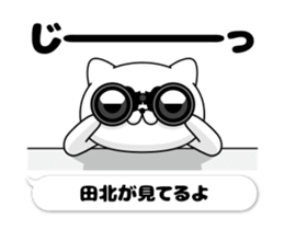 48952155