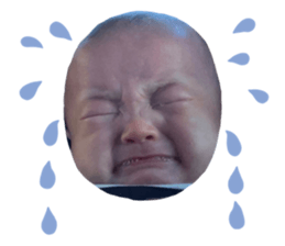 489655305