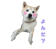 489655406