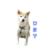 489655408