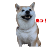 489655413