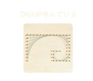 489657436