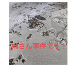 489659293
