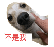 489748126