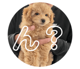 489759698