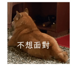 489770118