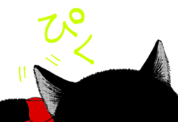 489917910
