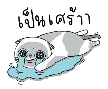 ลายที่ 13