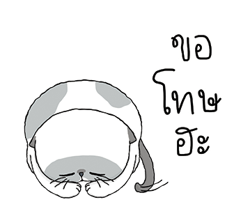 ลายที่ 24