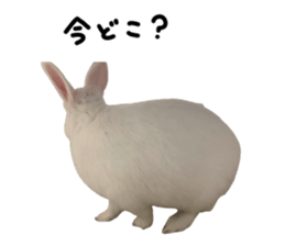 489956291