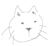489970761