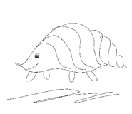 489970769