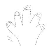 489970775