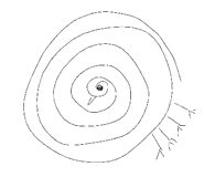489970778
