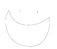 489970780