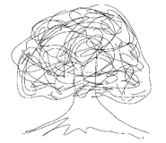 489970782