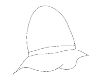 489970788