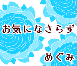 48997662