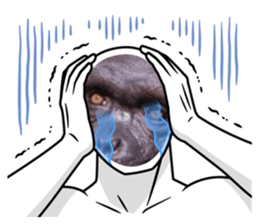 490003127