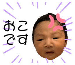 490145831