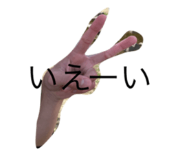490178114
