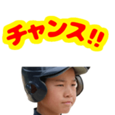 490212275