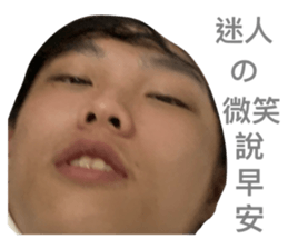 490217392