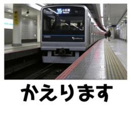 490243920