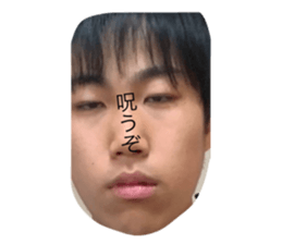 490256658
