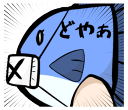 490262437
