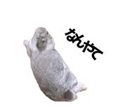 490302157