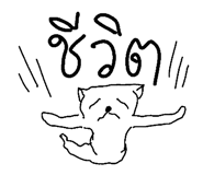 49042110