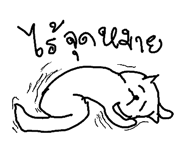 49042111