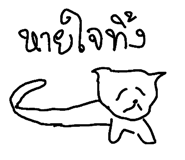 49042112