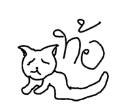 49042113