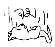 49042115