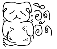 49042116