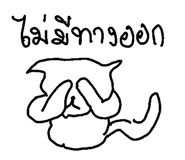 49042117