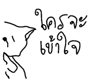 49042118