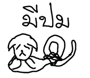 49042119