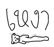 49042120