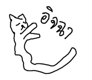 49042121