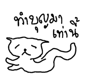 49042122