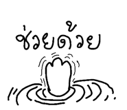 49042123