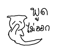 49042124