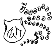 49042125