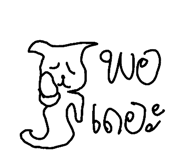 49042126