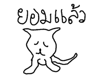 49042127